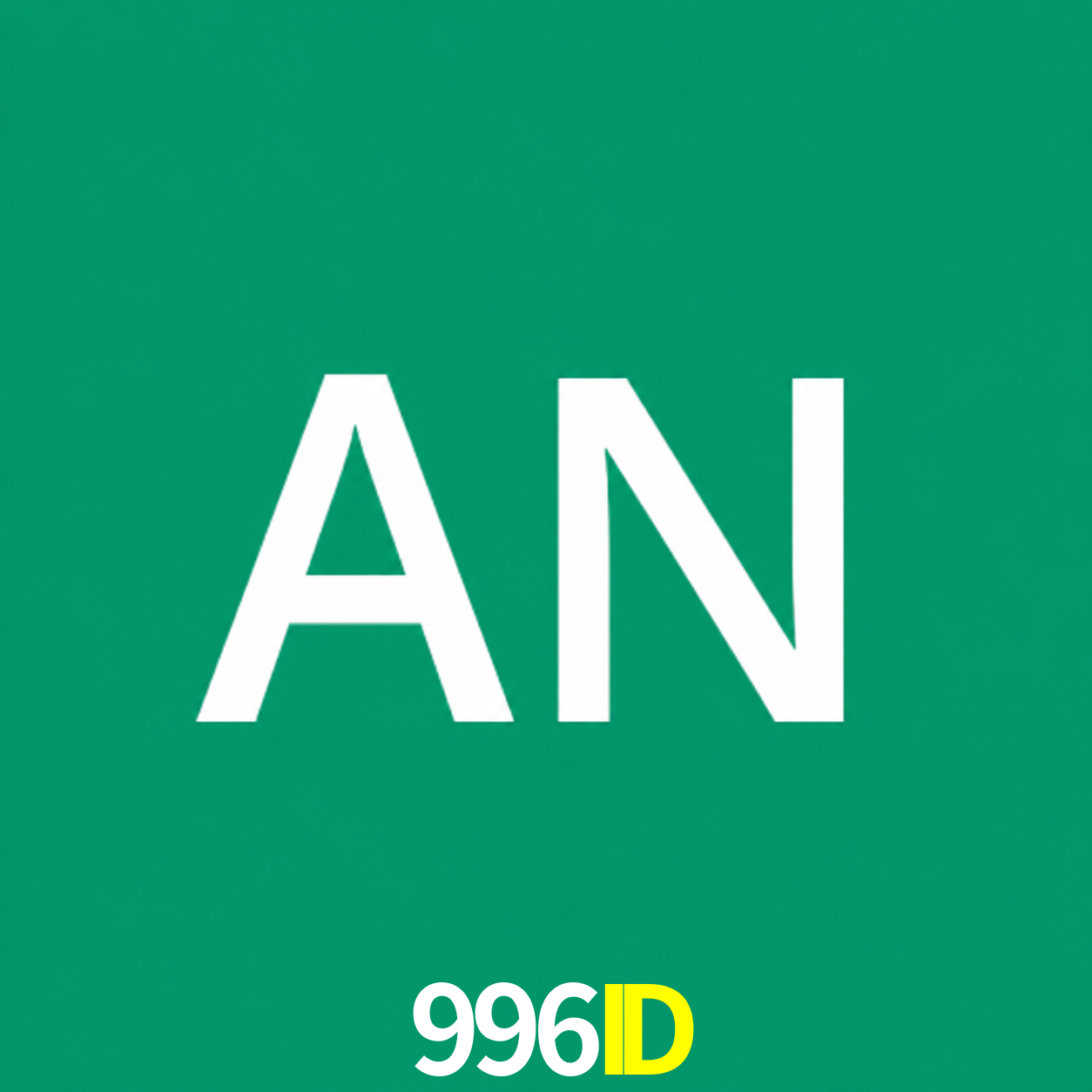 Adi Nugroho - Founder & CEO 996ID Indonesia
